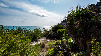 Fototapeta na wymiar Beautiful view of the Ocean and a peaceful corner of the ancient Mayan city of Tulum in Quintana Roo, Mexico.