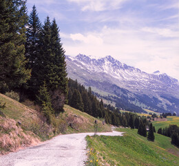 Climbing the path to the Guergaletsch peak near Lenzerheide in the Swiss Alps in summer, shot with...