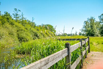 Fototapeta premium Wooden bridge over the Honing and Dilham canal in the Norfolk countryside