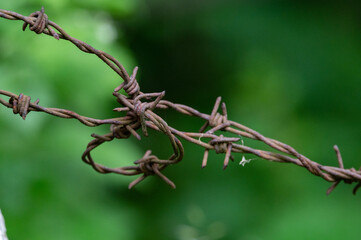 Stacheldrahtzaun