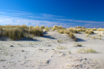 de duinen, Renesse, Zeeland, Nederland