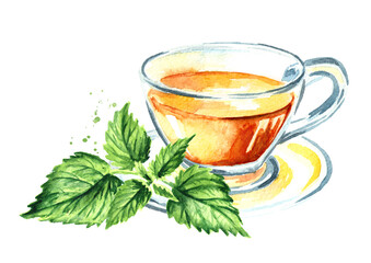 Herbal tea with fresh young green nettle herb. Hand drawn watercolor illustration, isolated on white background