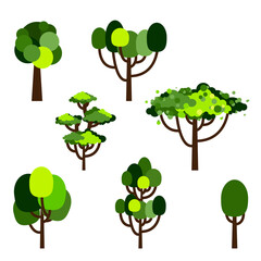 Cartoon tree. Collection of trees. Simple flat forest flora, coniferous and deciduous trees, oak, pine,