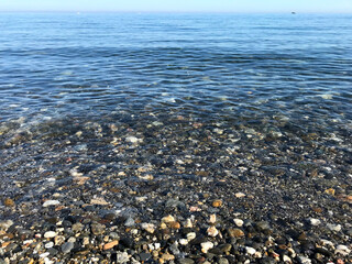 See shore
