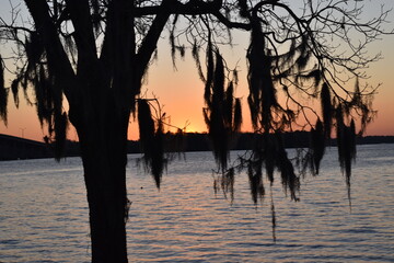 sunrise with tress at river front