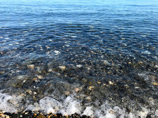 see shore