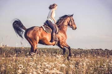 Frau galoppiert mit Pferd durch die Blumenwiese