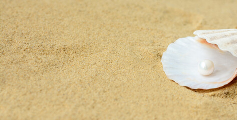 Fototapeta na wymiar Pearl on the seashell on the sand . Treasure from the sea . Banner.Copy space for text.