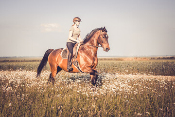 Mädchen reitet durch Blumenwiese