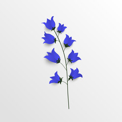 White roses cut from paper. Vector illustration.