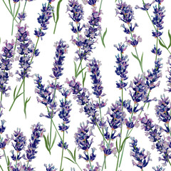 lavender twigs watercolor sketching seamless pattern on a white background