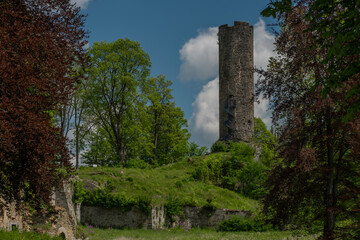 Fototapeta na wymiar Neuberg ruin of castle in Podhradi village in west Bohemia