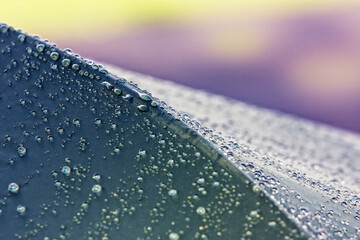 Water droplets beading on the waterproof surface of an umbrella after a summer rain shower