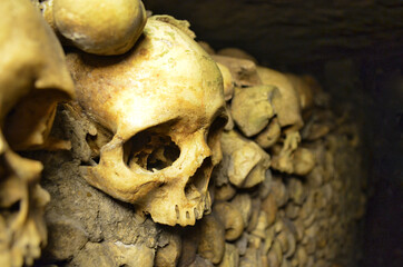 Human skull and bones in the Paris Catacombs, France