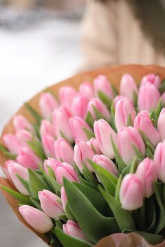 Pink tulps dynasty 