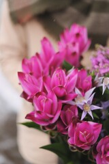 Curcuma flowers
