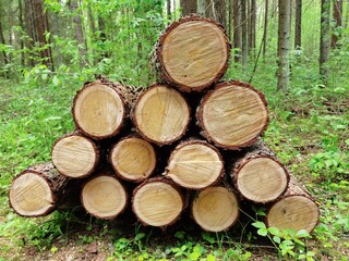 Pile of cut timber background