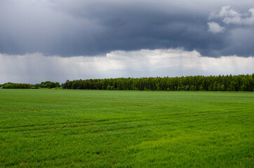 Sky with rain clouds above the forest near the meadow