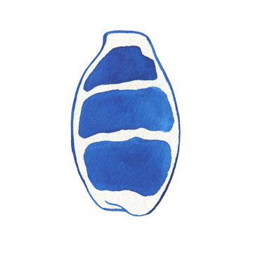 recommend clip art: Illustrations of underwater life objects - blue sea shell, marine design. Watercolor hand drawn painting illustration isolated on white background.