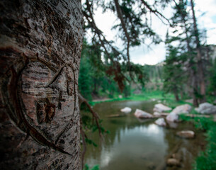 A beautiful summer day in medicine bow wyoming