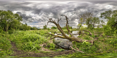 full seamless spherical hdri panorama 360 degrees angle view near small lake with felled clumsy tree and overcast sky in equirectangular projection, ready VR AR virtual reality content