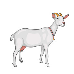 White goat with horns and bell around his neck
