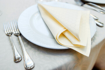 fork and knife. napkins and cutlery. bottom view