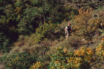 Fototapeta premium Difficult climb to top of high mountain overgrown with impassable shrub. Autumn landscape in highlands. Climber girl with backpack climbs up steep slope. Overcoming obstacle and courage. Ascent uphill