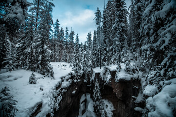 Fototapeta na wymiar maligne canyon covered in snow and ice in the winter in alberta