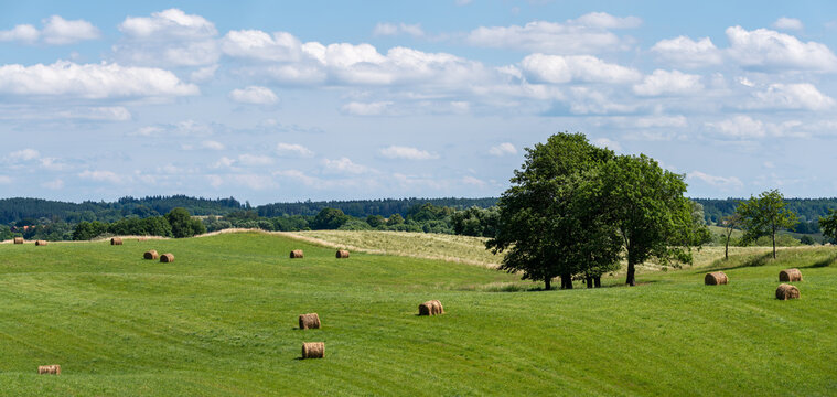 Mazury Garbate 31