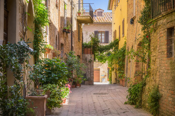 Fototapeta na wymiar Sunny streets with colorful flowers with contrasting shades. Walk the Tuscan town