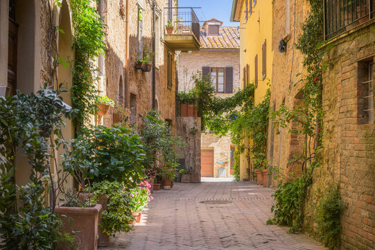 Fototapeta Sunny streets with colorful flowers with contrasting shades. Walk the Tuscan town