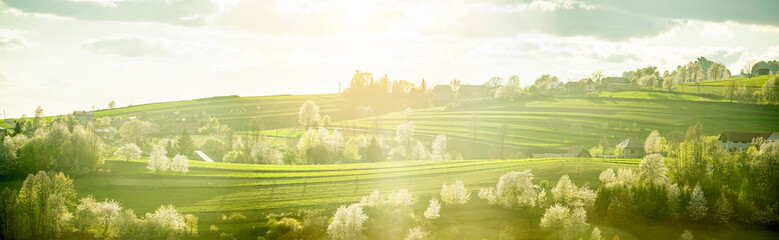 Spring Slovakia landscape. Nature fields with blooming cherries. Unique ecological land management. Polana region, Hrinova, Slovakia Europe. © Zedspider