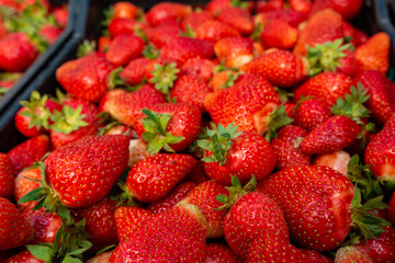 Lots of ripe red strawberries close up for sale. Showcase of the retail market for vegetables and fruits.