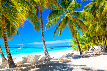 Beautiful tropical beach with sun loungers and palms. Saona Island, Dominican Republic. Caribbean resort. Vacation travel background.