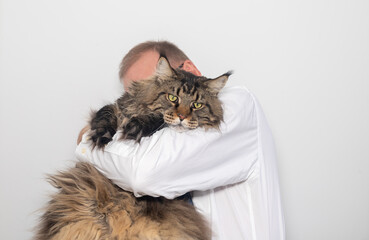 large big Maine Coon cat in hands of a businessman on white background