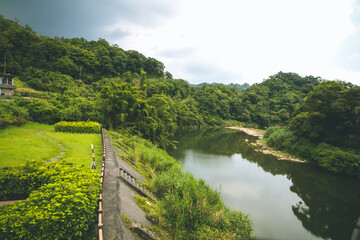 Fototapeta premium Sitting on the Banks of the Lush River