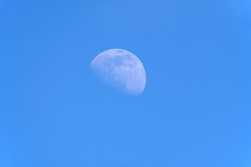 Fototapeta premium Waxing Gibbous lunar phase as seen from the Northern Hemisphere with the moon set against a blue early evening sky