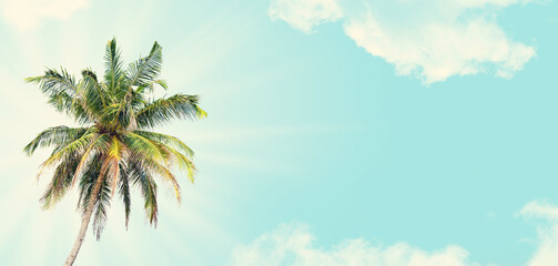 Fototapeta na wymiar Summer tropical hot day backdrop with palm and blue sunny sky