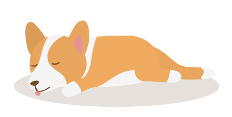 Welsh Corgi dog sleeping on a Mat