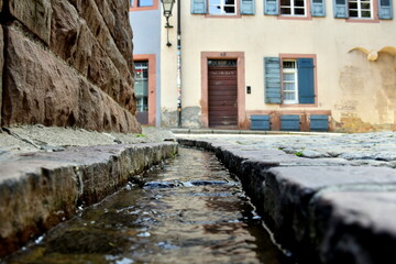 Bächle auf dem Freiburger Münsterplatz