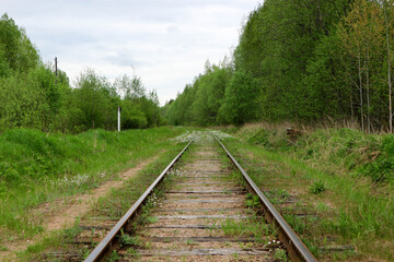 spring landscape with abandoned railway in the forest overgrown with grass and flowers