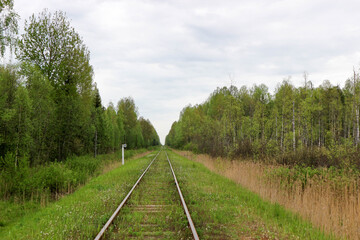 view of railroad track of abandoned old railway in the forest with kilometer post