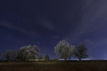 Fototapeta na wymiar Ruina con almendros floridos en la noche