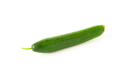 Fresh green cucumber with spray of water on white isolated background. Organic food concept
