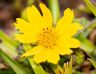 South Florida Urban Nature Photography