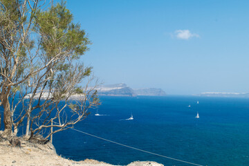 Sailing boats in the Aegean as seen from a cliff with a pine tree at the left
