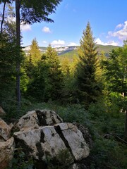 Obraz premium Paysage de montagne 