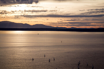 sailboats in the sunset