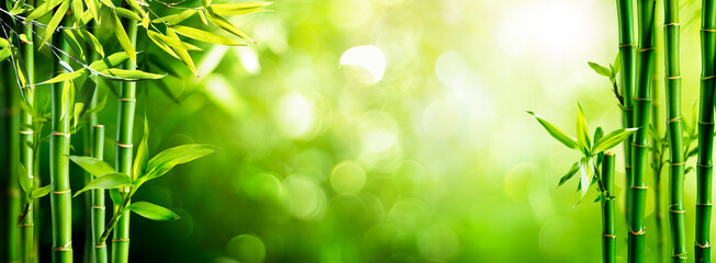 Panele Szklane Podświetlane  Świeże drzewa bambusowe w lesie z niewyraźnym tłem